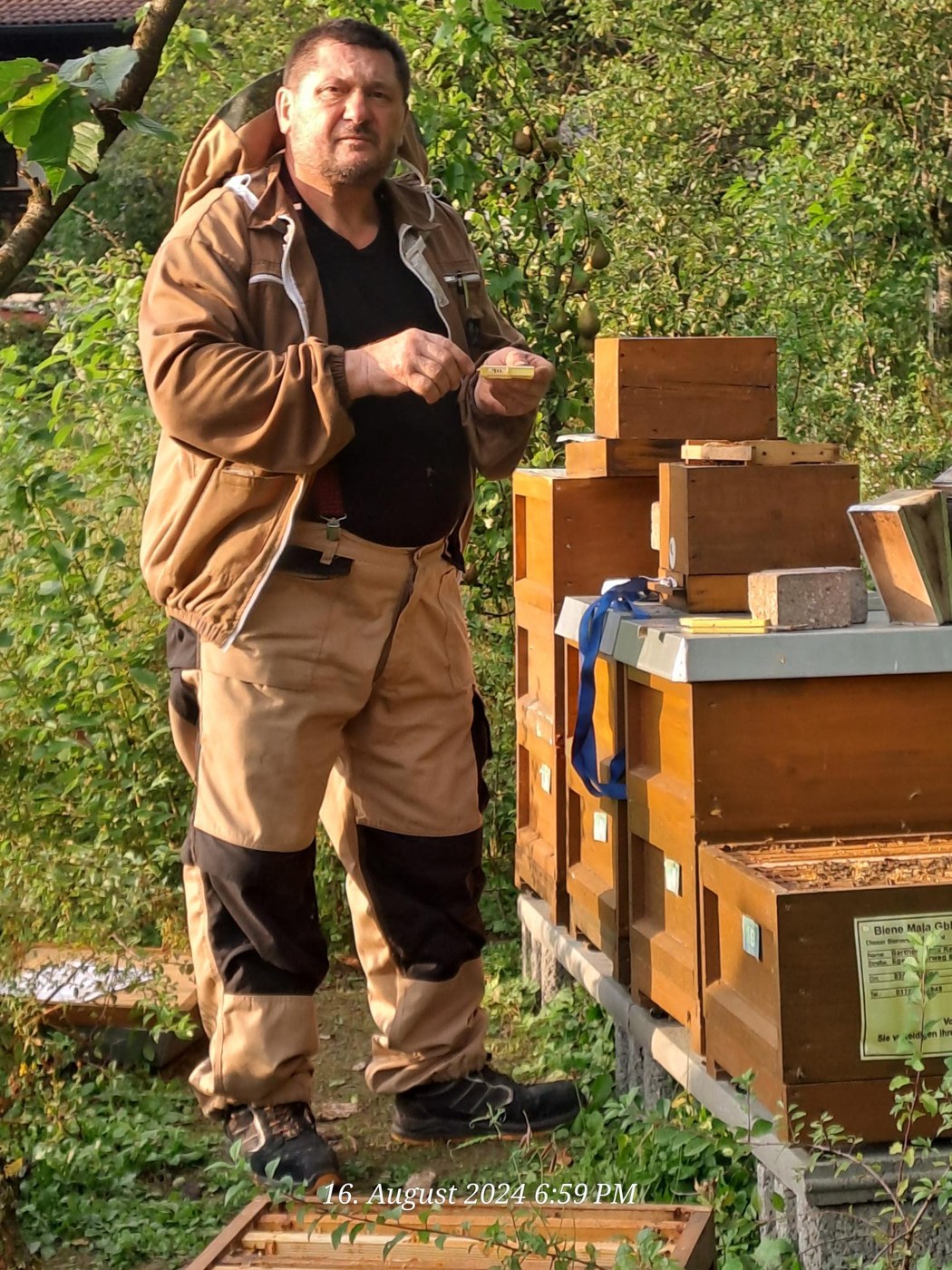 Barth bei seinen Bienenstöcken im Grünen